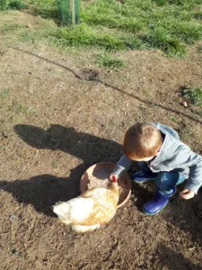 Hay à Argentonnay