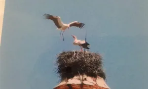 Pallanche à sainte agathe