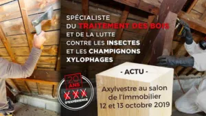 Axylvestre à Lorient
