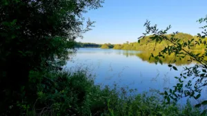 Les Toitures de l’Adour à Sainte-Marie-de-Gosse