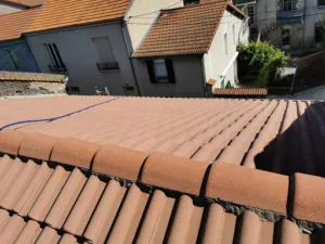 DUPUY TRAITEMENT – traitement charpente – isolation – nettoyage toiture à Roanne