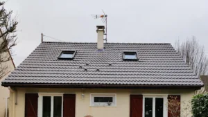 Prunier rénovation à Limours