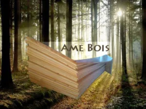 Sarl Ame Bois à Bourgoin-Jallieu