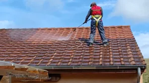 PRO NET Couvreur Zingueur à Saint-Germain-des-Fossés