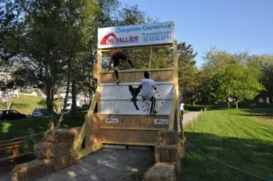Chevallier Patrice à Mayenne