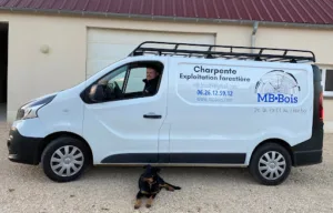 MB.Bois à Mailly-la-Ville