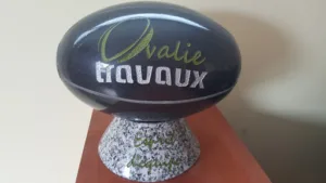 Ovalie Travaux à Saïx