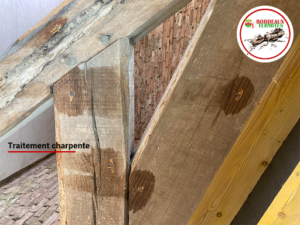Bordeaux Termites « traitement bois et charpente contre les insectes xylophages, mérule et remontées capillaires » à Bordeaux