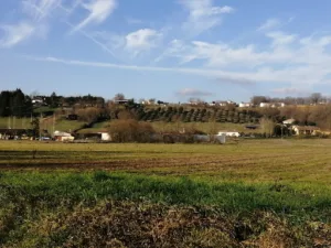 Sarl Mendes Manuel à Cayrac