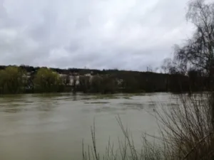 Gromard Eric à Coulommes
