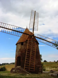 Tournée Du Coq à Fonsorbes