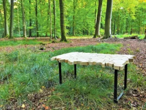 Simsio créateur décoration ameublement meubles mobilier artisanal bois nord à Caudry