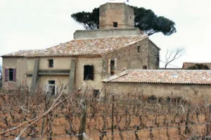 Bousquet Munoz à Pézenas