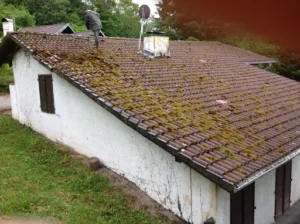 Couvreur – J.Blondel – Nettoyage toiture – Démoussage toiture à Saint-Dié-des-Vosges