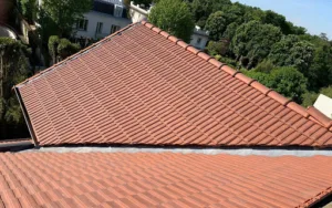 Entreprise Fays : Couvreur Zingueur Charpentier à Clamart