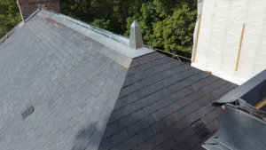 Advitam Couverture Et Démoussage à Orléans