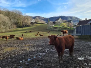 Menuiserie Theron à Vic-sur-Cère