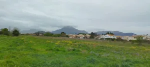 Au fil du bois à La Crau