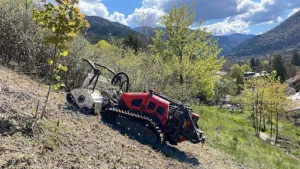Vigouroux EI – Débroussaillage à Châtillon-en-Diois