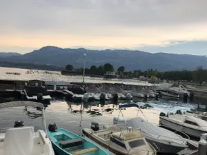 Pivetta William à Le Bourget-du-Lac
