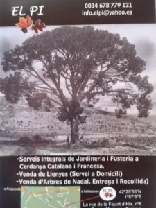 El Pí Jardineria i Fustería à Bourg-Madame