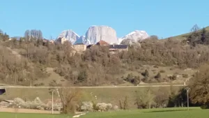BONZY CHARPENTE à Sinard