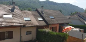Renard Tony à Bas-et-Lezat