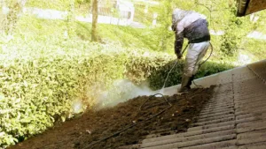 Ent. Gb peinture nettoyage toiture gouttière bande de rive à Chambéry