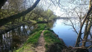 SCMG à Gennes-Val-de-Loire