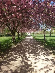 Surest-couverture à Saint-Germain-lès-Arpajon