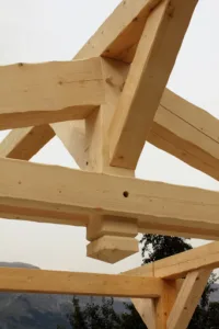 CS BOIS à Megève