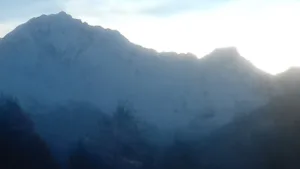 Tarentaise Charpente Roche et Fils (SARL) à Montagny