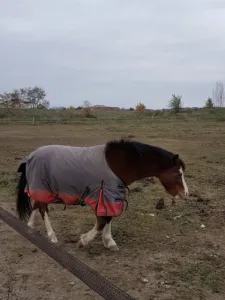 Sté D’Expl Poquet ETS à Rivières