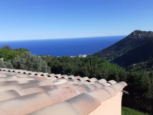 Phoenix Couverture et Renovation à Nice