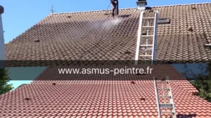 Demoussage toiture 73 à Chambéry