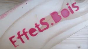 EffetS.Bois – Charpente à Lugrin