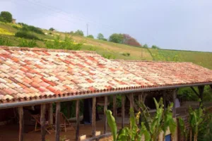 Charpente Arseguet à Saint-Frajou