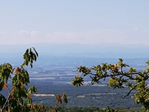 La confrérie de la construction écologique à Saissac