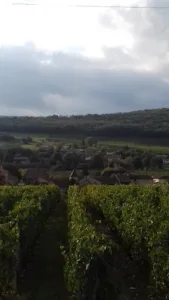 Barraud Jean-Louis à Saint-Gengoux-de-Scissé