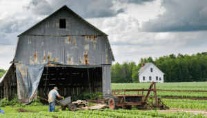 Renforcer une ferme affaiblie sans retirer la couverture est un défi courant rencontré dans la rénovation des bâtiments anciens, notamment dans le domaine de l’AgriTech et de l’Agriculture Durable. Cette opération délicate demande une approche rigoureuse pour préserver l’intégrité de […]