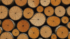 Découvrez les avantages et les particularités de la charpente en bois de sorbier ! Quels atouts cette méthode de construction apporte-t-elle ? Quelles caractéristiques en font un choix de qualité ? Apprenez-en davantage dans cet article complet et instructif ! […]