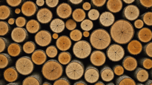 Découvrez les caractéristiques essentielles et les conseils pratiques pour prendre soin de votre charpente en bois massif dans cet article instructif ! Caractéristiques du bois massif pour une charpente robuste La charpente en bois massif est un élément essentiel de […]