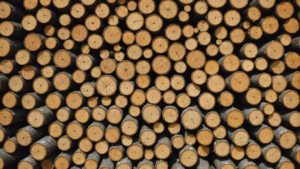 Découvrez les nombreux avantages environnementaux de la charpente en bois recyclé, une option écologique incontournable pour une construction durable et responsable. Options de récupération de la charpente en bois recyclé La récupération de la charpente en bois recyclé offre de […]