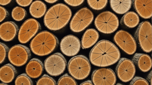 Découvrez les particularités fascinantes de la charpente en bois exotique et apprenez comment en prendre soin pour en préserver toute sa splendeur ! Particularités de la charpente en bois exotique La charpente en bois exotique présente des caractéristiques uniques qui […]