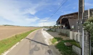 La Foret d’Othe à Turny