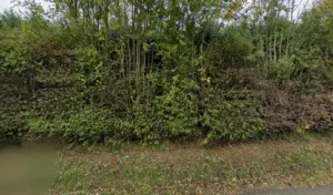 Maconnerie Charpente Carrelage Mariaux Patrice à Aumont