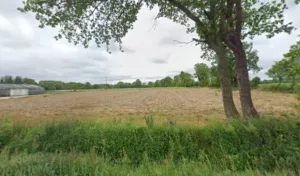 JOUANNO CHARPENTE à Noyal-Pontivy