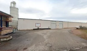 Arbonis à Verosvres