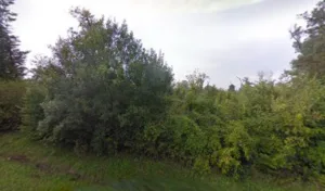 Menuiserie Vibrac SA à Bois-de-Haye