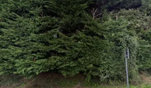 SARL POILVERT à Bréhand